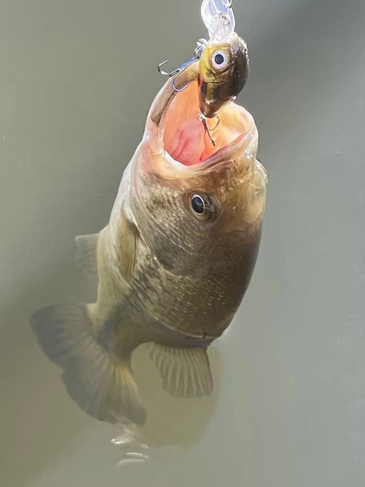 Crankbait Kit